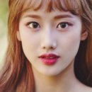 법무법인엘프스 이미지