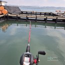 오등외 | 구매항좌대 태안 안면도낚시 깨끗한시설의 오형제낚시 방갈로후기