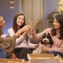 펫 치즈 클럽 이미지