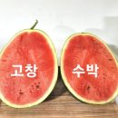 기철농장 이미지