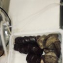 태형관 | 19.01.03 : 키링,폰 케이스,순대,영화'리지'