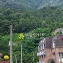 아마존모텔 이미지