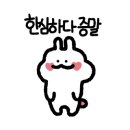 포항막회 이미지