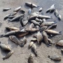 대박낚시터 이미지