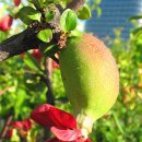 한강시민공원(자연학습장) 이미지