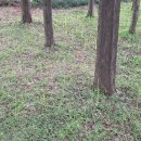 희성농장 | 2025-9월 2호