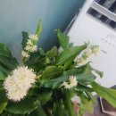 태양부동산공인중개사사무소 이미지