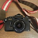 곰돌이미트유통 | CANON F-1 첫 롤 리뷰(feat, 빈티지 필름 & 필름 카메라 추천 & 스파이더맨 카메라 &캐논)