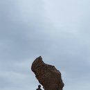 아리산 Daum카페