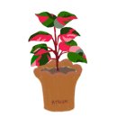 백양종합사회복지관 이미지