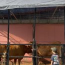 한터농원 영농조합법인 이미지