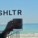 속초 오션뷰 분위기 감성 대형카페 루프탑 SHLTR 올데이속초패스