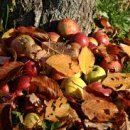 (주)올로 이미지