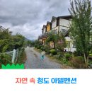 청도아델 이미지