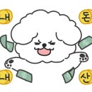 미다스펫 네이버블로그