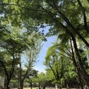 오케이엔트리 | 다낭성_임신준비 | 배란유도제 2차 ing