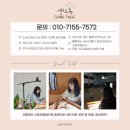 대구팔공초등학교 이미지