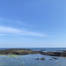 더 스테이 꽃님 이미지