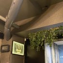 민초 | 이룸에이트 민초 강남 방탈출 꽃길 후기