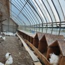 옥계 백봉이네 이미지