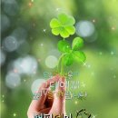 행운을드립니다 이미지