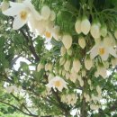 은혜농장 이미지