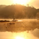 창녕 우포늪 이미지