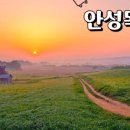 코앞스테이 이미지