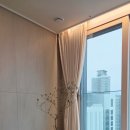 올리브나무 | 대구 황금동 아파트 거실 화분 올리브 나무 배송후기! 수성구 식물 당일배송