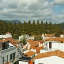 제68회 호남예술제 | 전라남도 가볼만한 곳 담양 메타세쿼이어랜드, 단풍 절정기 실시간 방문 후기