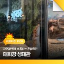 [학습교실] 여행드로잉 | 자연과 함께 소통하는 문화공간 태화강 생태관 입장료, 주차장, 프로그램 소개