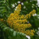 (주)나무 이미지