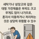 비우채