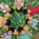 신동아유치원 이미지