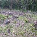 인서농장 이미지