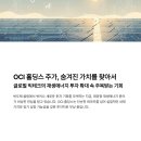 로만31 태양광발전소 | OCI 주가, 단순한 테마주를 넘어: 장기적 관점의 가치 평가