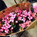 먹골역4번출구 이미지