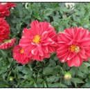 적성 당구장 이미지