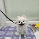 예뻐지개 미용실 이미지