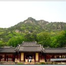 춘천농협주유소 이미지