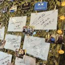 팀더블유 이미지