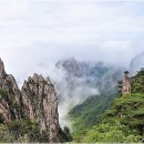 산의뿌리