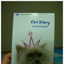 운남동물병원 | 종합백신 2차 맞췄습니다. - 광주광역시 광산구 신가동 운남동물병원 후기