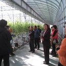 수곡농장 이미지