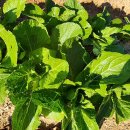 화순케어랜드요양병원 이미지