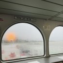 장봉매표소 | 🌊 장봉도 백패킹 후기 — 비바람 속에서도 힐링했던 2박 3일