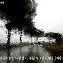 킴스건재