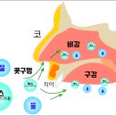 수영장 물을 조심하세요. 락스를 주된 살균소독제로 사용합니다. 이미지