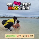 비세시모