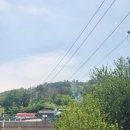 (주)청도레미콘 | 경북여행 청도 군파크 루지 완벽탑승 후기 및 코스 부대시설 정보